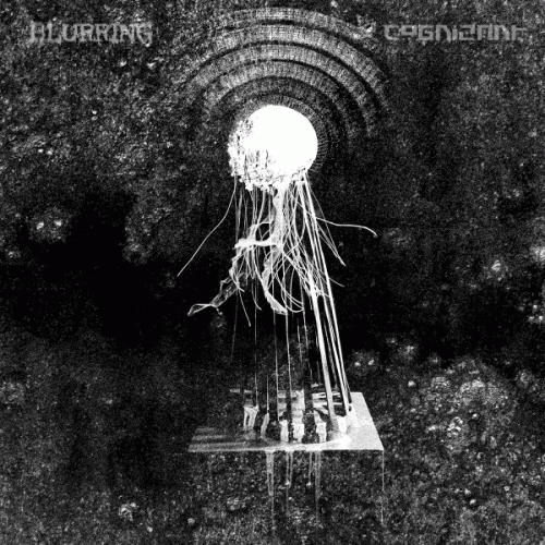 Cognizant : Blurring - Cognizant